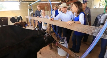 Governo doa 250 toneladas de milho a produtores de leite